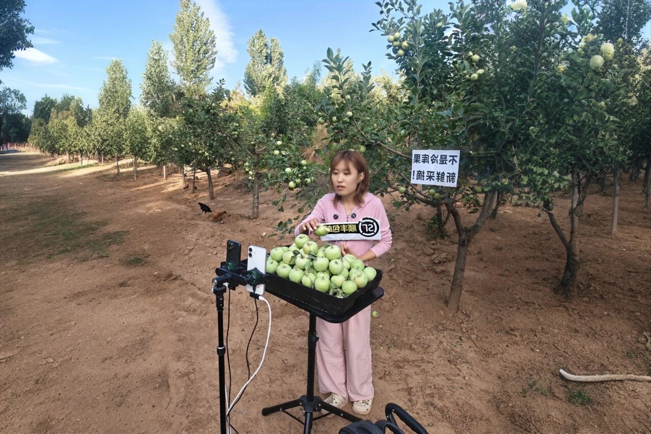 决斗四时度，圣家乐购双十一全域发力促增加2